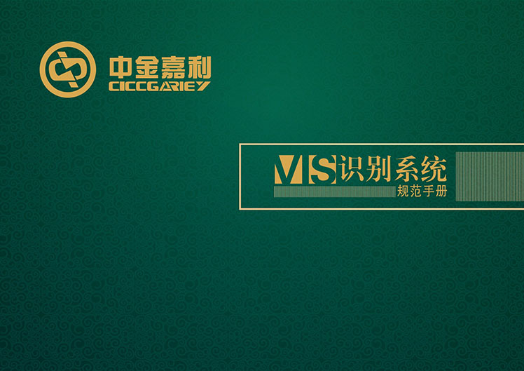 中金嘉利VIS